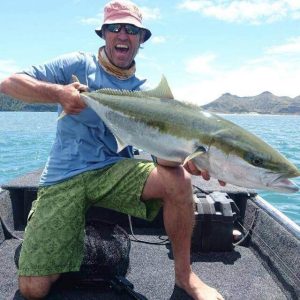 Puponga kingfish