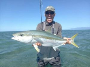 Puponga kingfish
