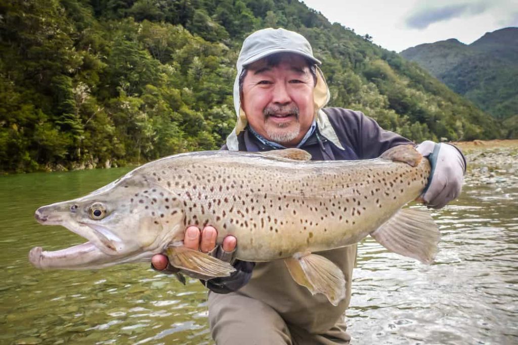 Buller River fly fishing