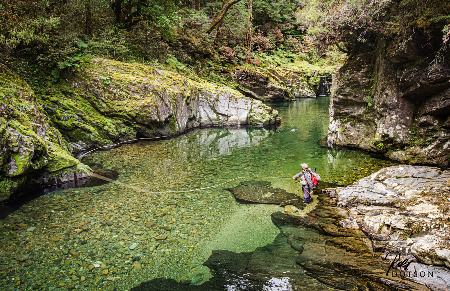 Fly Fishing in South Island